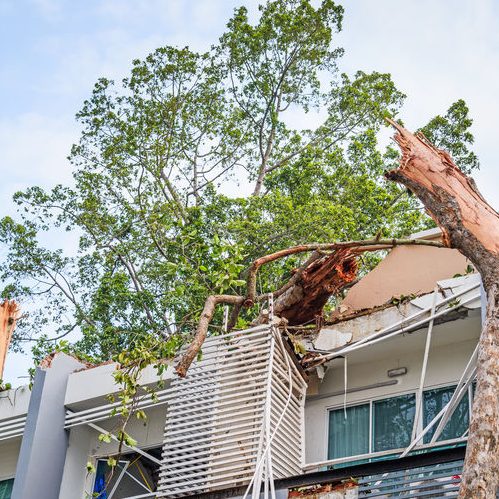 How Do I Know If My Roof Has Wind Damage?